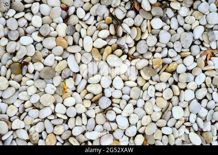 Rollsteine im trockenen Flussbett Stockfoto