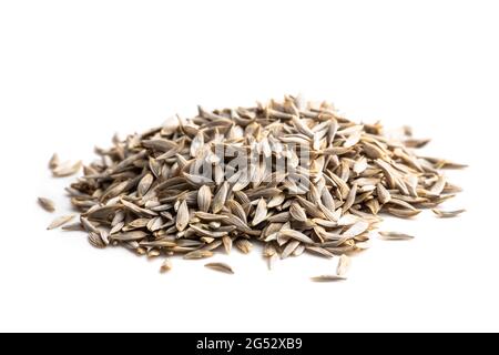 Haufen von Salatsamen isoliert auf weiß bereit zu Pflanzen Stockfoto