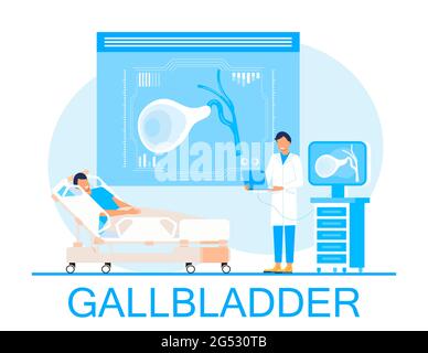 Vektor des Gallenblasenkonzepts. Ärzte behandeln Gallensteine. Biliäre Dyskinesie-Ptoblems. Web, Landing-Page-Vorlage für medizinische Website, Banner. Medizinische Versorgung Stock Vektor