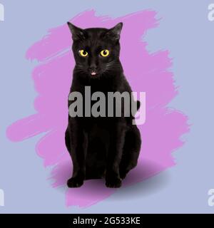 Schwarze Katze gelbe Augen Vektor.auf einem blauen Hintergrund und die Farbe aus dem Pinsel rosa Stockfoto
