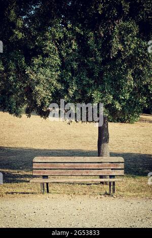 Leere dunkle Holzbank im Park. Ein Ort, um in der Natur zu sitzen. Natürliche Bank neben dem Park. Stockfoto