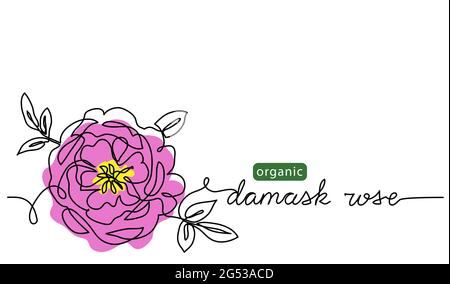 Damast Rose, bulgarische Blume Vektor Illustration, Hintergrund für Label-Design. Eine fortlaufende Linie Art Zeichnung Illustration mit Schriftzug organisch Stock Vektor