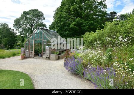 Gewächshaus, RHS Harlow Carr Gardens, Harrogate , North Yorkshire Stockfoto