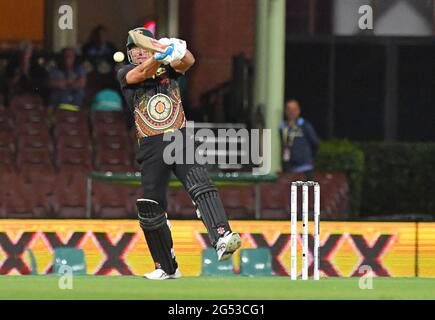 Indien übergab Australien nach seinem Sieg im T20-Spiel in Sydney, Australien, auf den zweiten Platz in der T20-Rangliste.Featuring: Moises Henriques wo: Sydney, Australien Wann: 06 Dec 2020 Credit: WENN.com Stockfoto