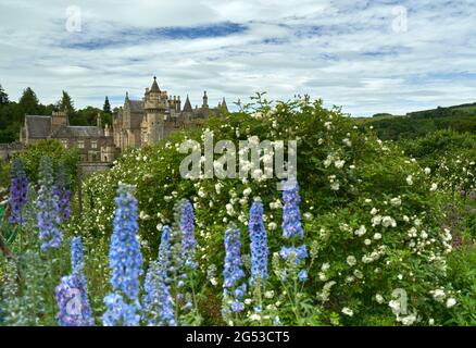 Wunderschöne Blumenbeete im ummauerten Garten des Abbotsford House in den schottischen Grenzen an einem sonnigen Sommertag. Stockfoto