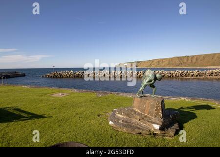 Helmsdale Harbour in den schottischen Highlands, Großbritannien Stockfoto