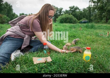 Frau, die im Sommerpark Gopher füttert Stockfoto