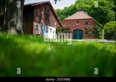 02. Juni 2021, Niedersachsen, Haarstorf: Eine Scheune (l) und ein Wohnhaus (r) eines Bauernhofes sind von Bäumen umgeben. Foto: Philipp Schulze/dpa Stockfoto