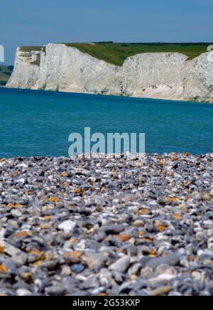 Staycation Idee. Die weißen Kalkfelsen der Seven Sisters an der Küste neben dem Ärmelkanal bei Birling Gap mit Kieselstrand im Vordergrund. England Stockfoto