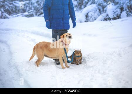 Ein Mensch mit Hund und Katze geht in der Schnee im Winter Stockfoto