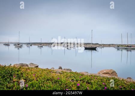 Morro Bay State Park Stockfoto