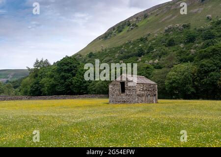 Alte traditionelle Steinscheune inmitten einer Wildblumenwiese, Muker, Swaledale, North Yorkshire, Großbritannien. Stockfoto