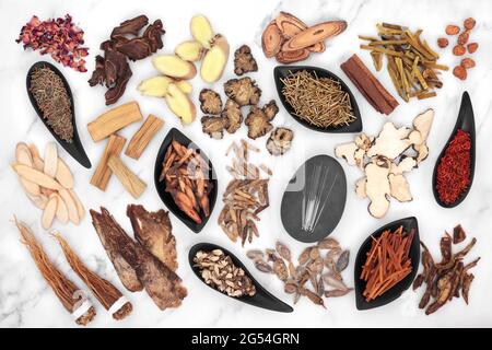 Chinesische Akupunkturbehandlungsnadeln mit Kräutern und Gewürzen, die in der traditionellen Kräutertherapie und Medizin verwendet werden. Alternative Gesundheitsversorgung Konzept. Flach liegend, oben Stockfoto