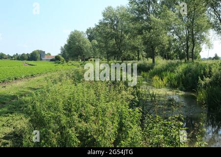 Little Stour River und Saint Andrew's Church in Wickhambreaux, Canterbury, Kent, England, Vereinigtes Königreich Stockfoto