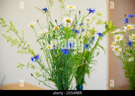 Sommer blüht in einer Vase. Weiße Gänseblümchen und blaue Kornblumen in einer Vase. Mittsommerblüten Stockfoto