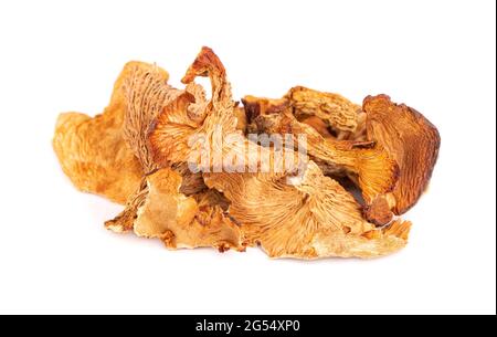 Getrocknete Pfifferlinge, isoliert auf weißem Hintergrund. Getrocknete Waldpfifferlinge. Cantharellus cibarius. Nahaufnahme. Stockfoto