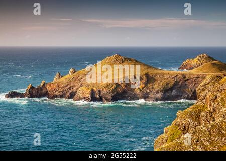 Am späten Nachmittag Sonnenschein auf den Becken am Pentire Point, einem atemberaubenden Küstenabschnitt in North Cornwall. Stockfoto