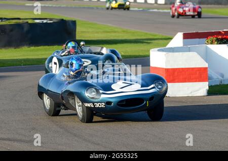 Jaguar D Typ mit langer Nase. Klassischer Jaguar-Rennwagen beim Goodwood Revival 2011, der von Fabian Sarrailh in der Sussex Trophy ausgetragen wurde Stockfoto