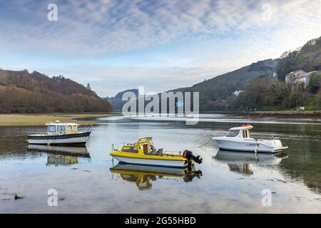 Die Boote vertäuten auf dem Fluss Looe, nördlich der Brücke bei Looe in Cornwall, wo die Flüsse West Looe und East Looe aufeinander treffen. Stockfoto