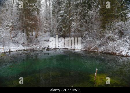 Saula blaue Quellen (siniallikad auf Estnisch) im Schneewinter Stockfoto