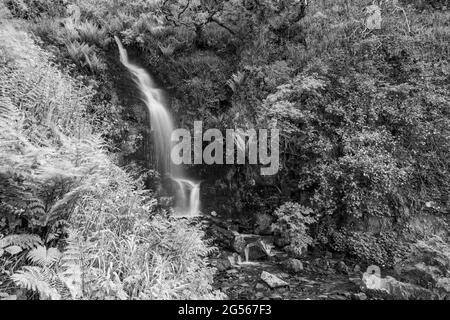 Langzeitbelichtung des Hollowbrook Wasserfalls auf dem South West Coastpath von Woody Bay bis Heddons Mouth in Devon Stockfoto