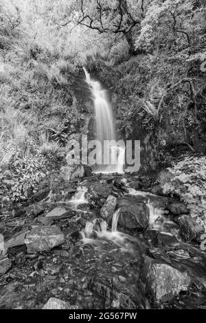 Langzeitbelichtung des Hollowbrook Wasserfalls auf dem South West Coastpath von Woody Bay bis Heddons Mouth in Devon Stockfoto