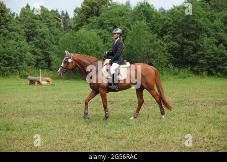 Reiten Modell Mädchen Reiten sportliche Dressurpferd im Sommer Felder Stockfoto