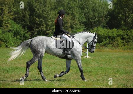 Reiten Modell Mädchen Reiten sportliche Dressurpferd im Sommer Felder Stockfoto