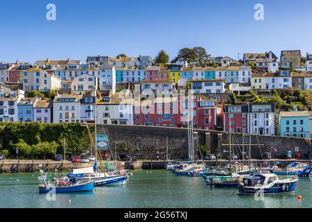 Farbenfrohe Häuser mit Blick auf den Innenhafen von Brixham im Süden von Devon. Stockfoto