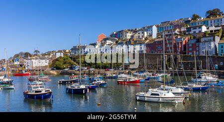 Farbenfrohe Häuser mit Blick auf den Innenhafen von Brixham im Süden von Devon. Stockfoto