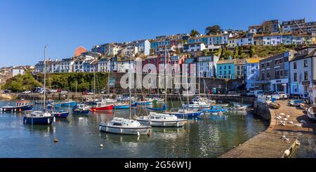 Farbenfrohe Häuser mit Blick auf den Innenhafen von Brixham im Süden von Devon. Stockfoto