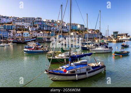 Farbenfrohe Häuser mit Blick auf den malerischen Hafen von Brixham im Süden von Devon. Stockfoto