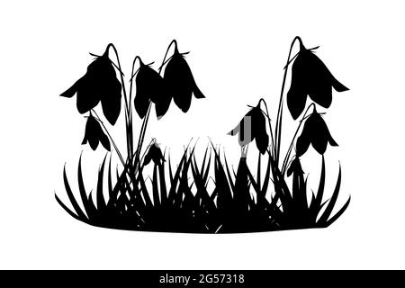 Silhouette von Gras und Blumen isoliert auf weißem Hintergrund. Wiese mit wilden Kräutern. Bluebells wächst von Rasen. Gartenbett. Vektorgrafik für Aktien Stock Vektor