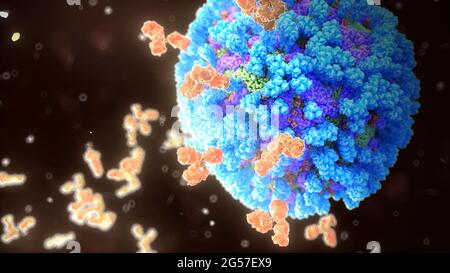 Antikörper, die Influenza-Virus binden, Illustration Stockfoto
