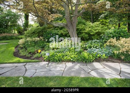Steinweg umgeben von üppiger Landschaft. Stockfoto