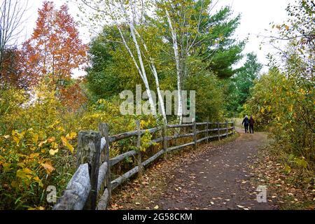 Rouge National Urban Park - Wanderweg mit dem Zaun im Herbst Stockfoto