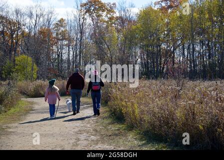 Toronto, Ontario / Kanada - 31. Oktober 2020: Familienwanderung auf dem Waldwanderweg mit sozialer Distanzierung. Stockfoto