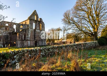 Überreste der Dundrennan Abbey, im Winter, Dumfries und Galloway, Schottland Stockfoto