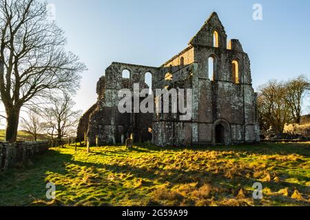 Überreste der Dundrennan Abbey, im Winter, Dumfries und Galloway, Schottland Stockfoto