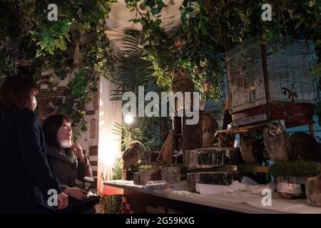 Menschen mit Eulen in einem Eulencafé in Tokio, Japan Stockfoto