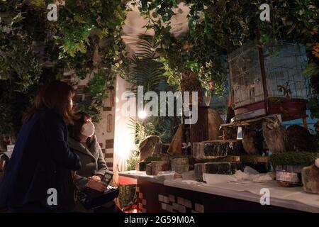 Menschen mit Eulen in einem Eulencafé in Tokio, Japan Stockfoto