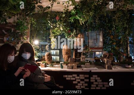 Menschen mit Eulen in einem Eulencafé in Tokio, Japan Stockfoto