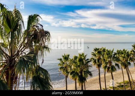 Wunderschöne Aussicht auf den Pazifik in Santa Barbara, Kalifornien. Palmen blicken auf die Küste mit Sandstrand, ruhiges Meer und Boote Stockfoto