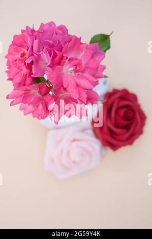 Rosa Geranien blüht in einer Vase auf einer hellen Oberfläche mit zwei Rosen Stockfoto