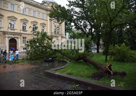 Lviv, Ukraine. Juni 2021. Ein gefallener Baum in der Nähe der Ivan Franko Universität in Lviv nach einem starken Gewitter. (Foto von Pavlo Palamarchuk/SOPA Images/Sipa USA) Quelle: SIPA USA/Alamy Live News Stockfoto