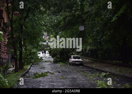 Lviv, Ukraine. Juni 2021. Nach einem starken Gewitter in der Stadt ist auf der Sichovykh Striltsiv Straße ein gefallener Baum zu sehen. Kredit: SOPA Images Limited/Alamy Live Nachrichten Stockfoto