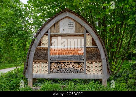 Insektenhaus aus Holz im Garten. Insektenhotel in natürlicher Umgebung. Insektenhotel in der Schweiz. Schutz oder Zuflucht für Insekten.