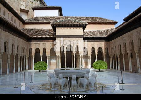 Der Patio der Löwen (Patio de los Leones) Der berühmteste Ort der Alhambra in Granada.auf dem Hügel al-Sabika,am Ufer des Flusses Darro,Granada Spanien.erbaut als Festung im Jahre 889 u.Z.,dann weitgehend ignoriert.umgebaut Mitte des 13. Jahrhunderts von arabischen Nasriden-Emir Mohammed ben Al-Ahmar vom Emirat Granada,nach der christlichen Reconquista im Jahr 1492,wurde die Stätte Der Königliche Hof von Ferdinand und Isabella. Stockfoto