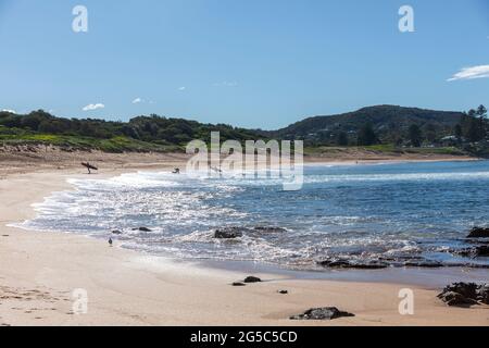 Australische Surfer am Avalon Beach in Sydney am frühen Morgen surfen, Sydney, NSW, Australien Stockfoto