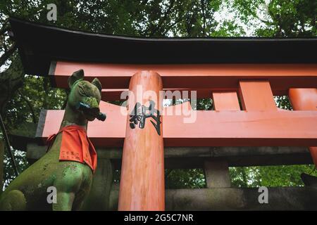 Fuchskisune-Statue vor dem orangefarbenen Torii-Tor im üppigen Wald am Fushimi Inari Taisha-Schrein in Kyoto, Japan Stockfoto